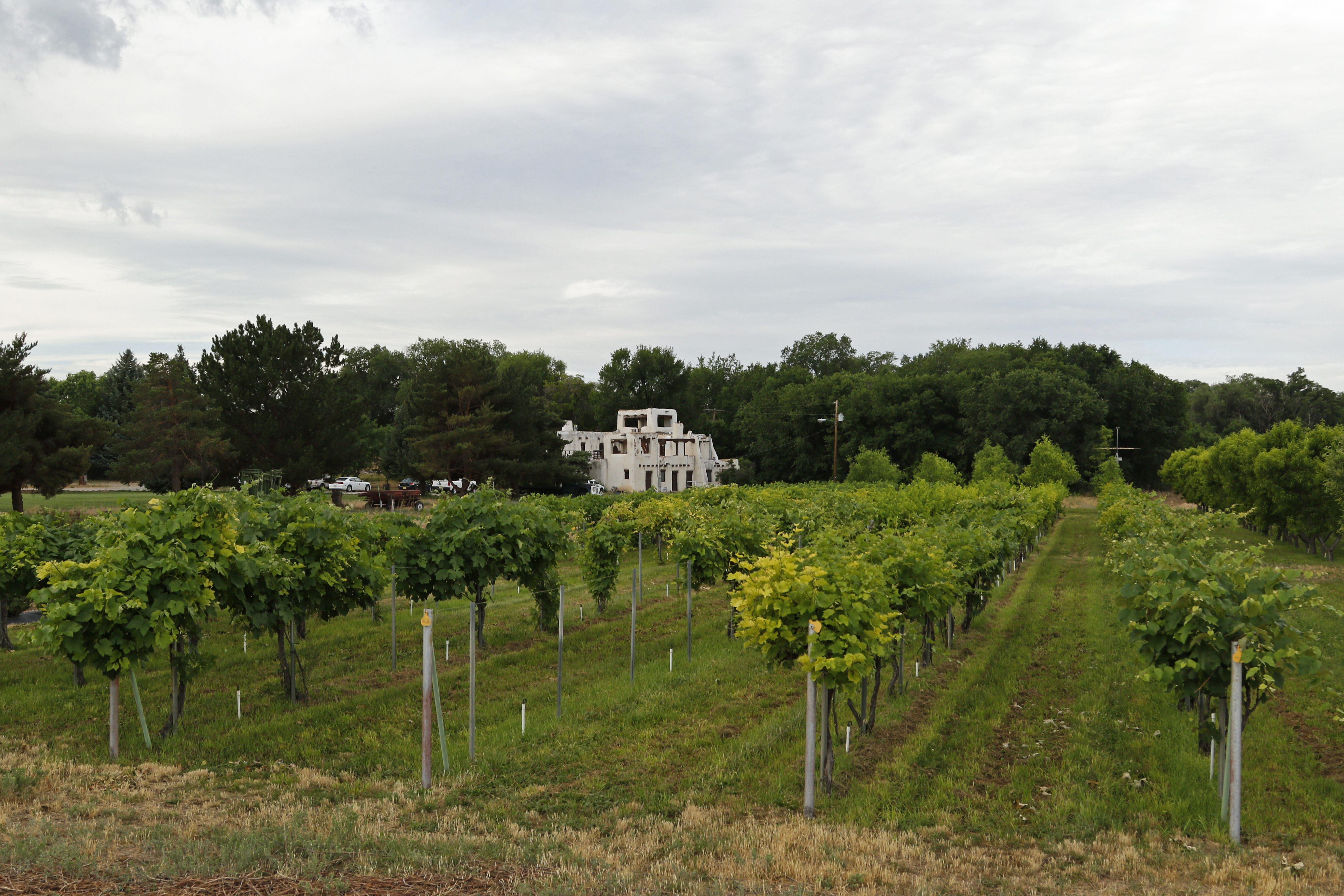 Alcalde Ag Science Center overlooking their vineyard