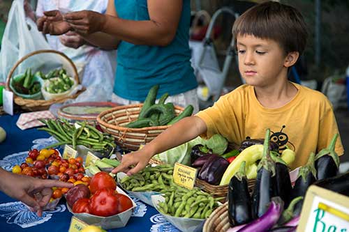 farmers market